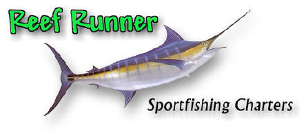 Reef Runner Charters